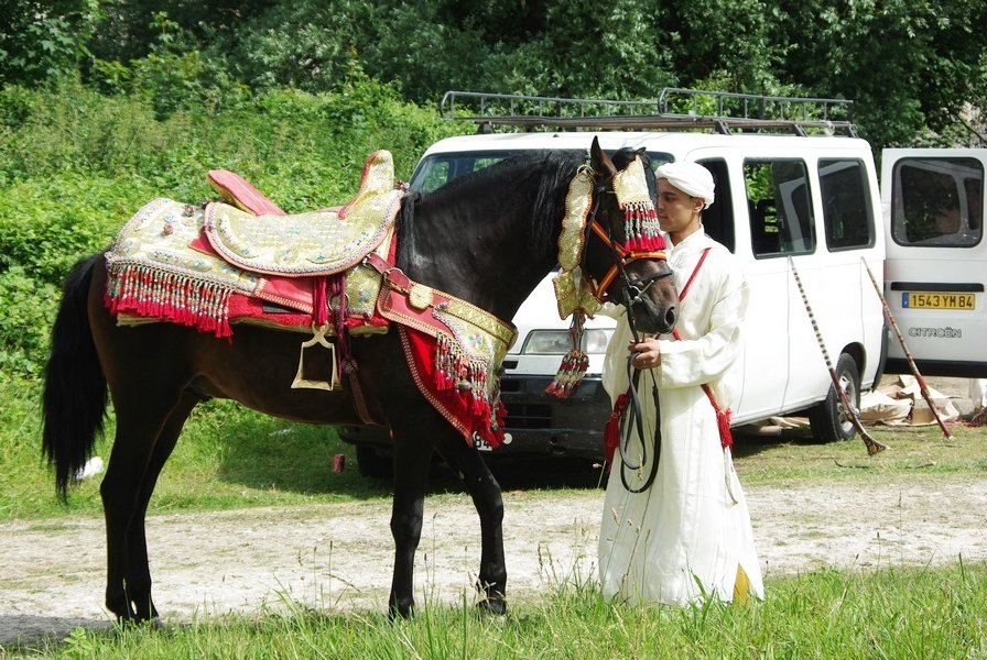 Le Moussem des Cultures 2008 129.jpg